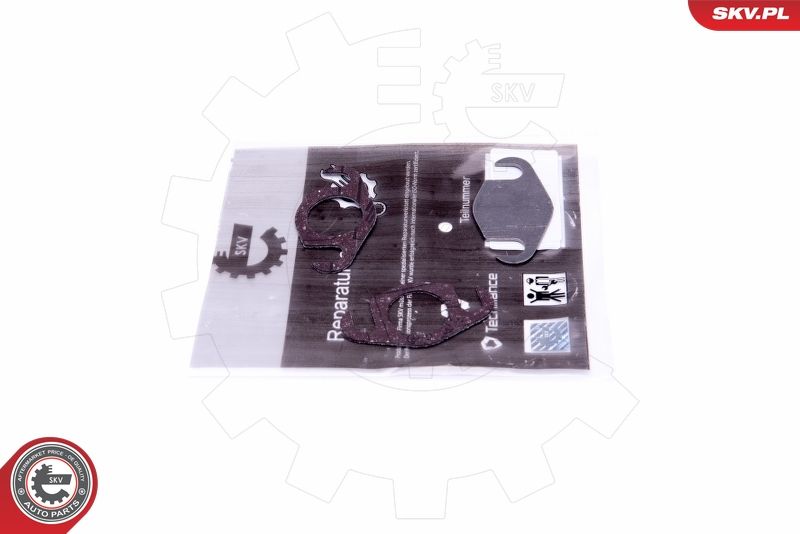 ESEN SKV 14SKV558 Repair Set, EGR valve