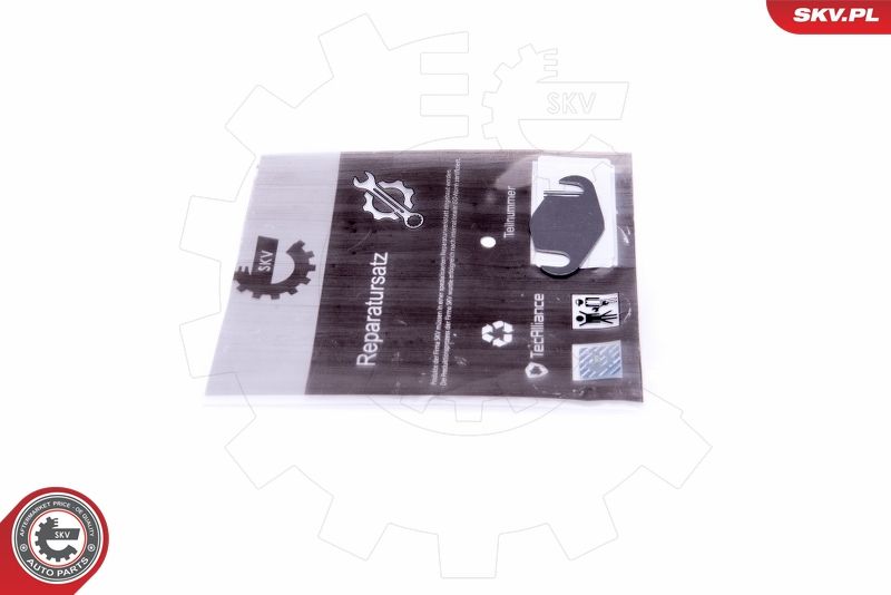 ESEN SKV 14SKV559 Repair Set, EGR valve