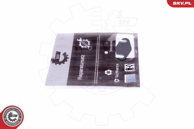 Repair Set, EGR valve ESEN SKV 14SKV559