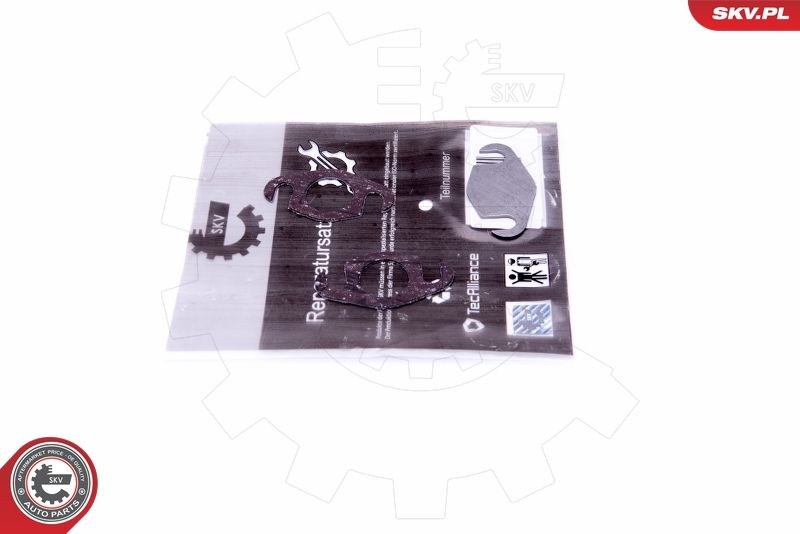 ESEN SKV 14SKV560 Repair Set, EGR valve