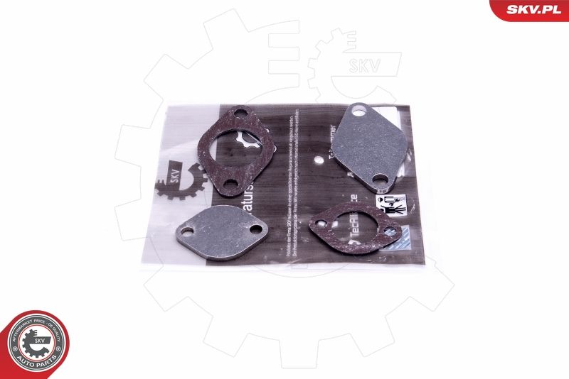 ESEN SKV 14SKV561 Repair Set, EGR valve