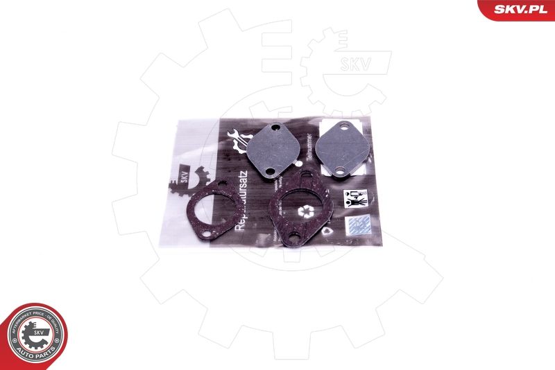ESEN SKV 14SKV562 Repair Set, EGR valve