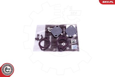 Repair Set, EGR valve ESEN SKV 14SKV562