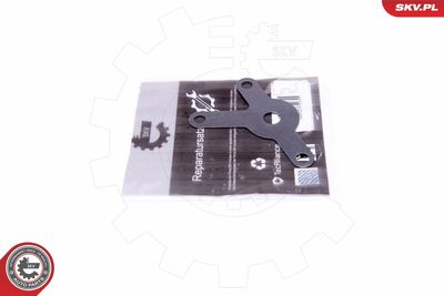 Repair Set, EGR valve ESEN SKV 14SKV563