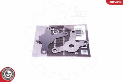 Repair Set, EGR valve ESEN SKV 14SKV564