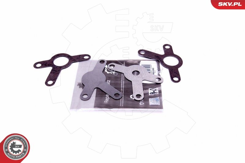 ESEN SKV 14SKV565 Repair Set, EGR valve