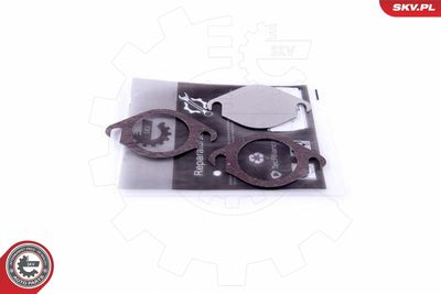 Repair Set, EGR valve ESEN SKV 14SKV568