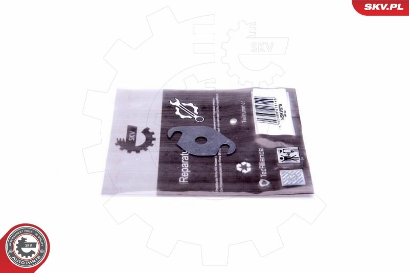 ESEN SKV 14SKV570 Repair Set, EGR valve