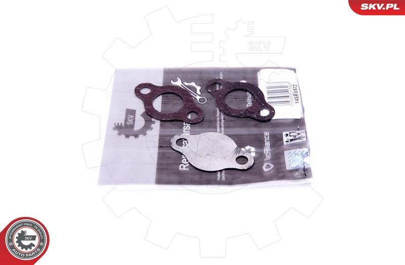 ESEN SKV 14SKV572 Repair Set, EGR valve