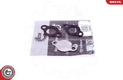Repair Set, EGR valve ESEN SKV 14SKV572