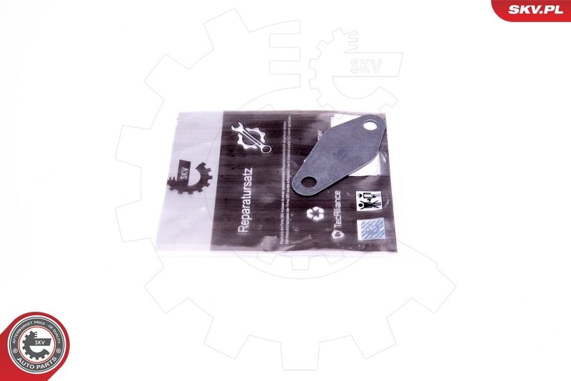 ESEN SKV 14SKV573 Repair Set, EGR valve