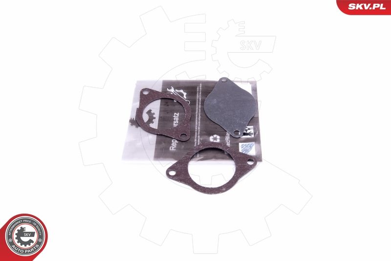 ESEN SKV 14SKV574 Repair Set, EGR valve