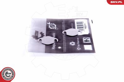 Repair Set, EGR valve ESEN SKV 14SKV575
