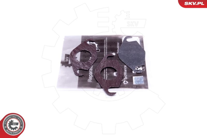 ESEN SKV 14SKV577 Repair Set, EGR valve