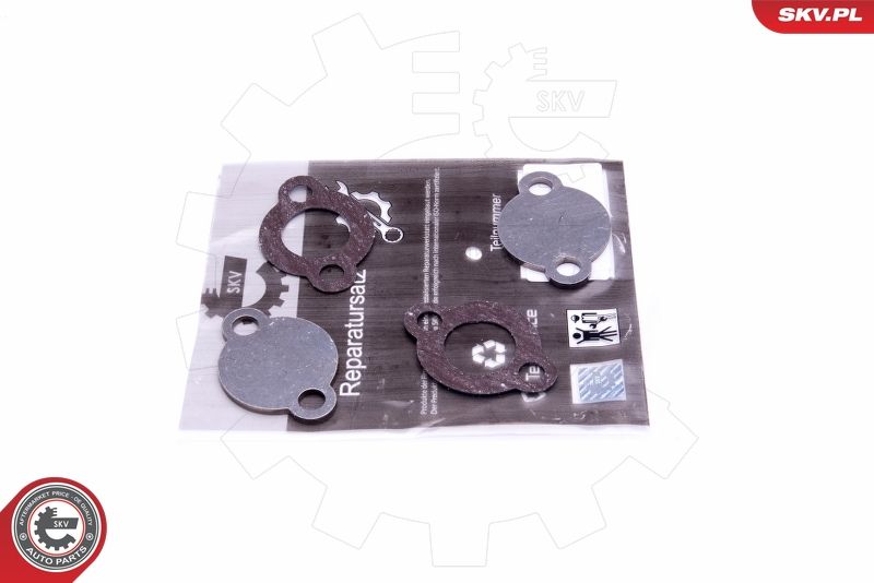 ESEN SKV 14SKV578 Repair Set, EGR valve