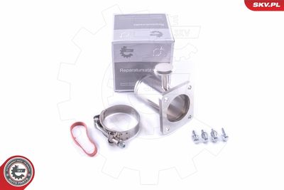 Repair Set, EGR valve ESEN SKV 14SKV579