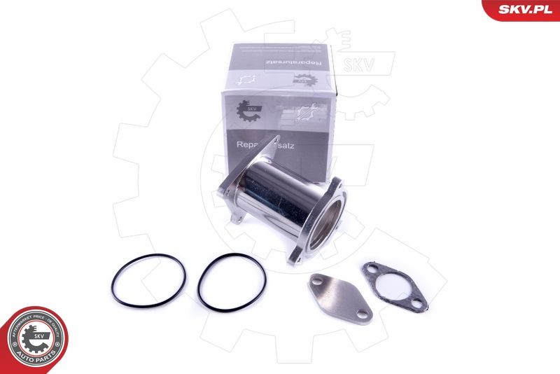 ESEN SKV 14SKV582 Repair Set, EGR valve