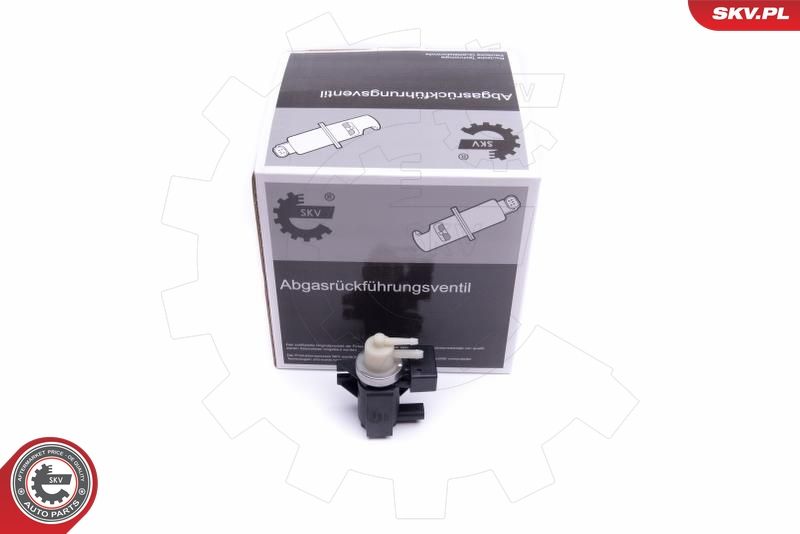 ESEN SKV 14SKV915 Pressure converter, turbocharger
