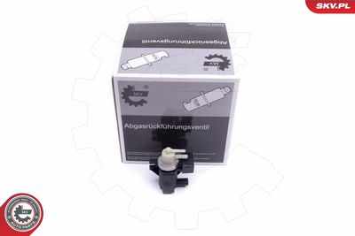 Pressure converter, turbocharger ESEN SKV 14SKV915