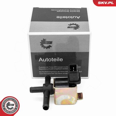 Boost Pressure Control Valve ESEN SKV 14SKV924