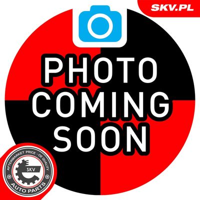 Washer Fluid Jet, window cleaning ESEN SKV 15SKV215