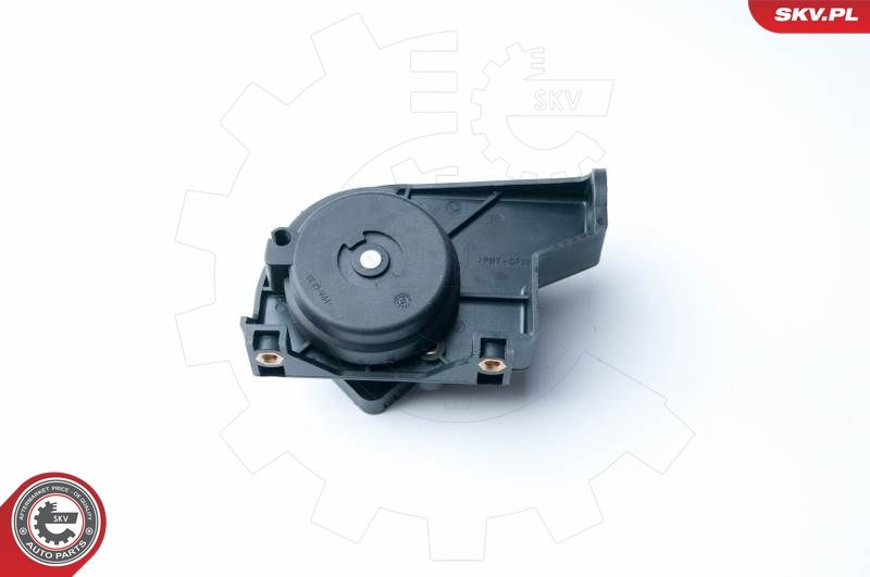ESEN SKV 17SKV015 Sensor, throttle position