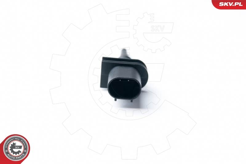 ESEN SKV 17SKV341 Sensor, exterior temperature