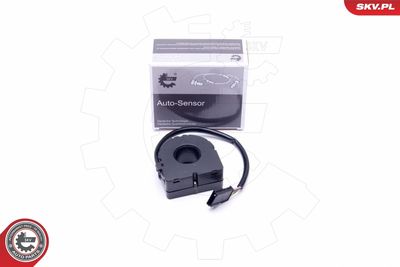 Steering Angle Sensor ESEN SKV 17SKV472