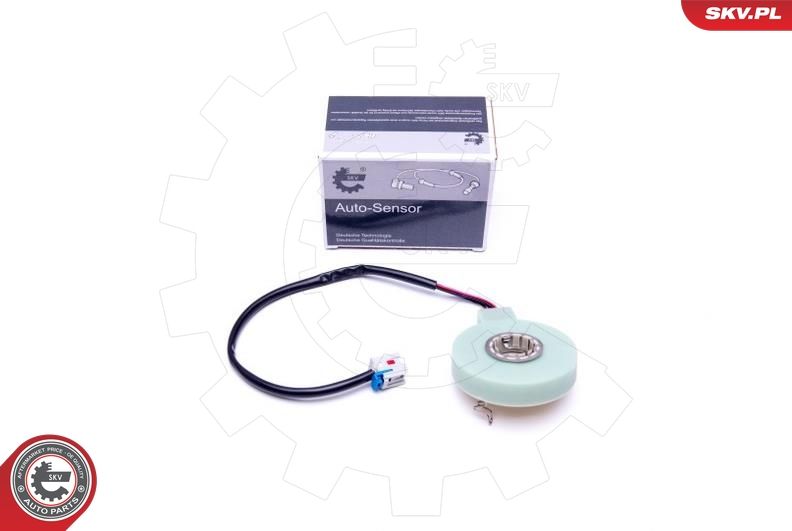 ESEN SKV 17SKV473 Steering Angle Sensor