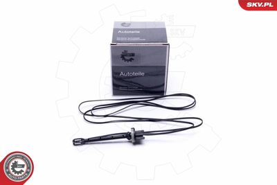 Sensor, intake air temperature ESEN SKV 17SKV612