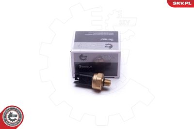 Sensor, fuel pressure ESEN SKV 17SKV620
