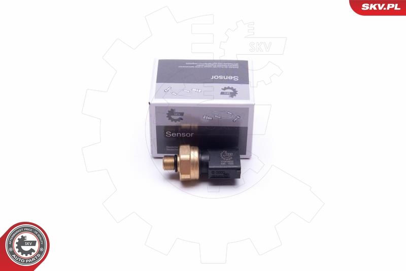 ESEN SKV 17SKV622 Sensor, fuel pressure