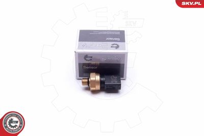 Sensor, fuel pressure ESEN SKV 17SKV622