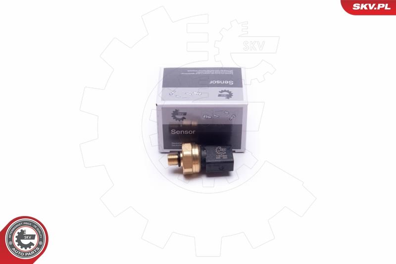 ESEN SKV 17SKV624 Sensor, fuel pressure