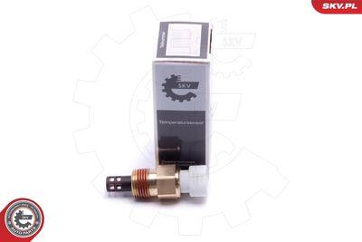 Sensor, intake air temperature ESEN SKV 17SKV678