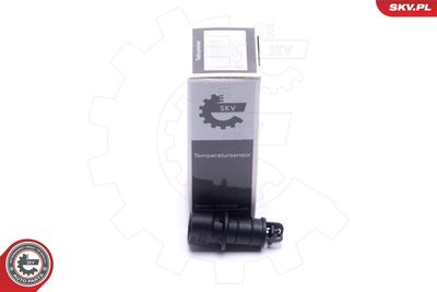 Sensor, intake air temperature ESEN SKV 17SKV683