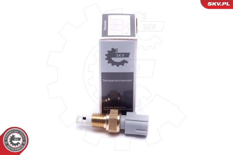 ESEN SKV 17SKV684 Sensor, intake air temperature
