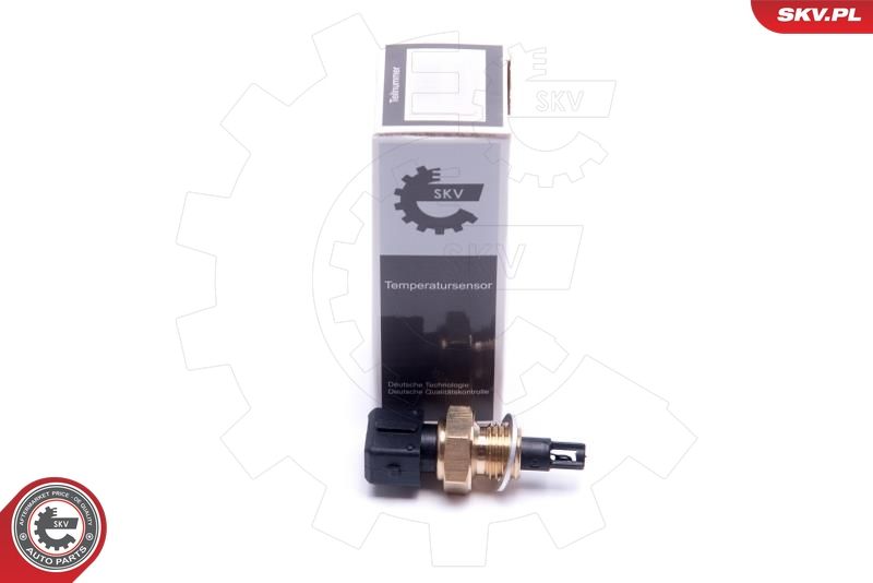 ESEN SKV 17SKV685 Sensor, intake air temperature