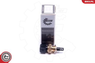 Sensor, intake air temperature ESEN SKV 17SKV685