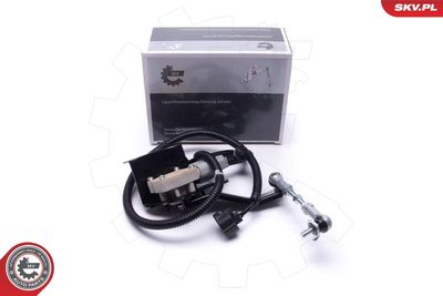 Control Unit, air suspension ESEN SKV 17SKV720