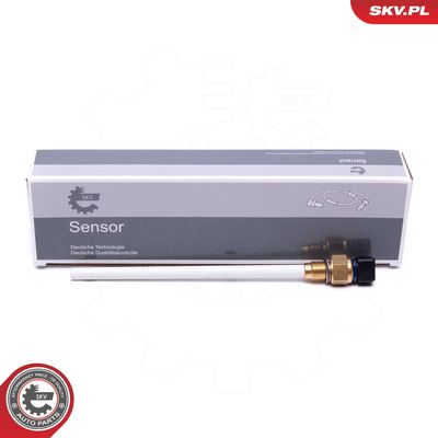 Sensor, engine oil level ESEN SKV 17SKV752