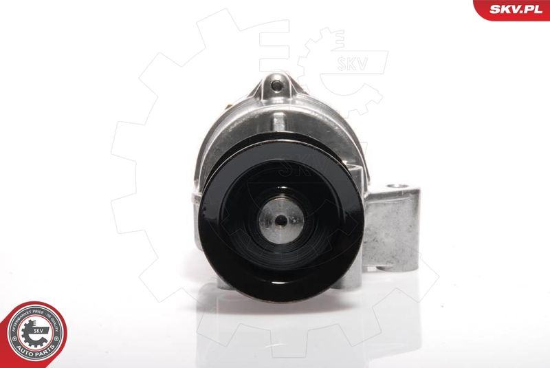 ESEN SKV 18SKV002 Vacuum Pump, braking system