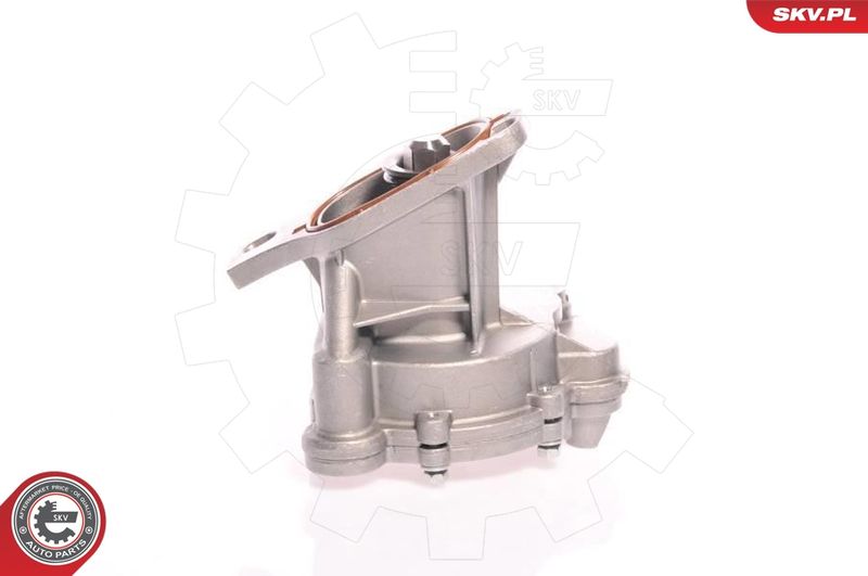 ESEN SKV 18SKV006 Vacuum Pump, braking system