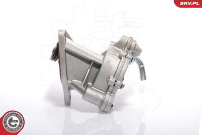 Vacuum Pump, braking system ESEN SKV 18SKV008