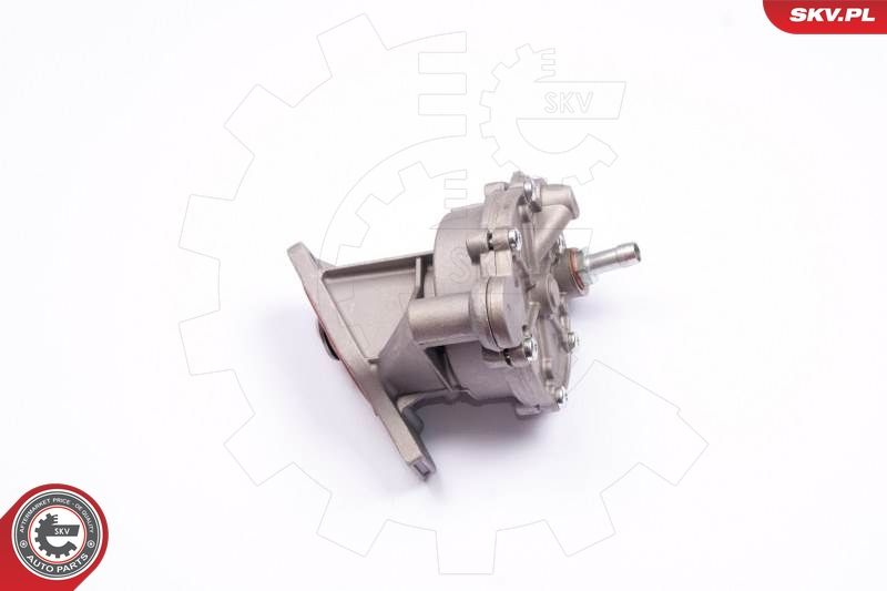 ESEN SKV 18SKV013 Vacuum Pump, braking system