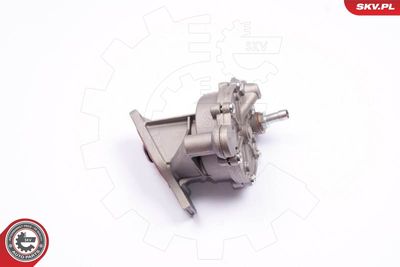 Vacuum Pump, braking system ESEN SKV 18SKV013