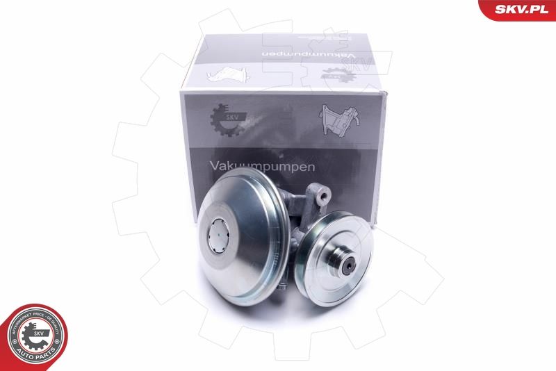 ESEN SKV 18SKV038 Vacuum Pump, braking system