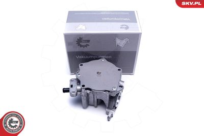 Vacuum Pump, braking system ESEN SKV 18SKV060