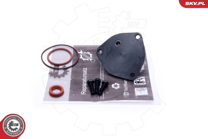 ESEN SKV 18SKV800 Repair Set, vacuum pump (braking system)