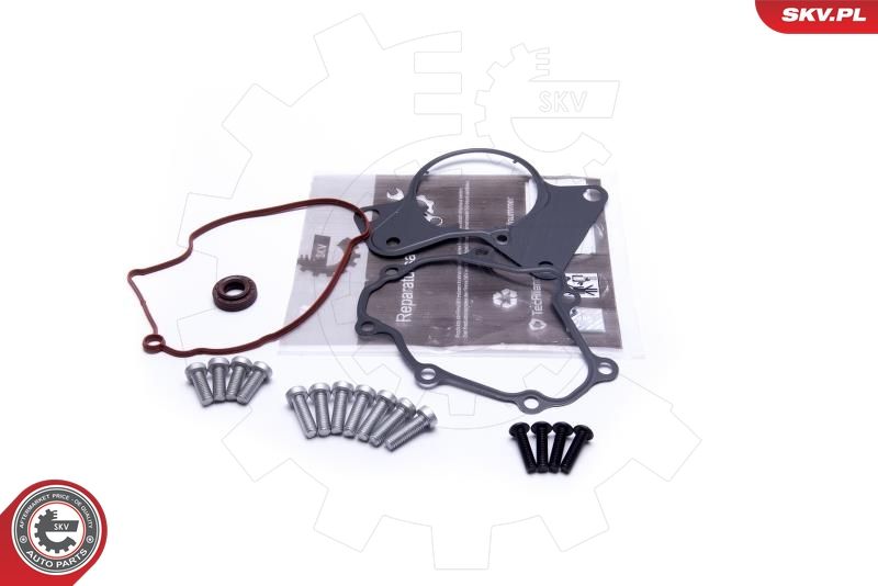 ESEN SKV 18SKV802 Repair Set, vacuum pump (braking system)